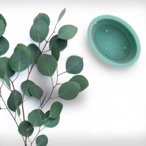 Eucalyptus Scented Oval Spiral Candle